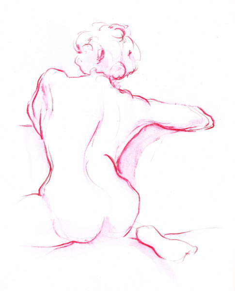 Pink Back Watercolor Drawing